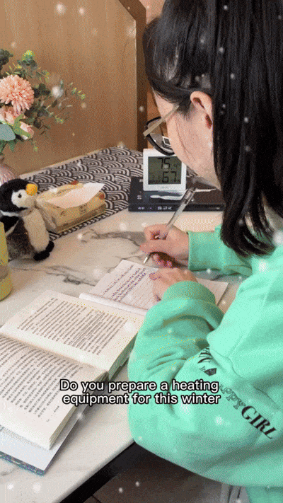 HeatX™ Smart Plug-In Heater