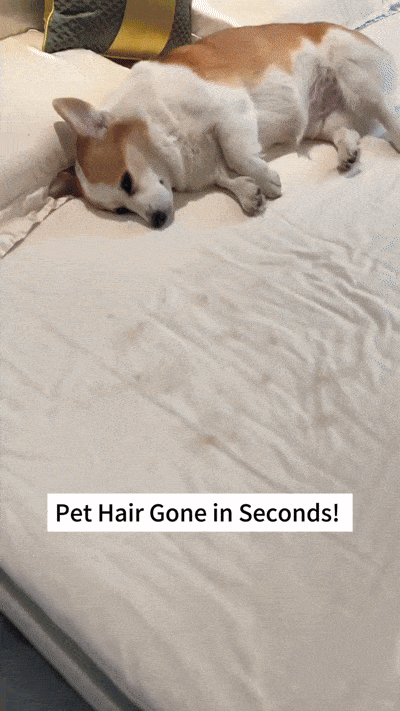 FurGone™ Pet Hair Remover Pad